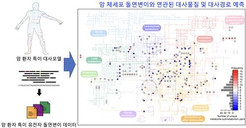 암 체세포 돌연변이와 연관된 대사물질·경로 예측 컴퓨터 방법론 모식도