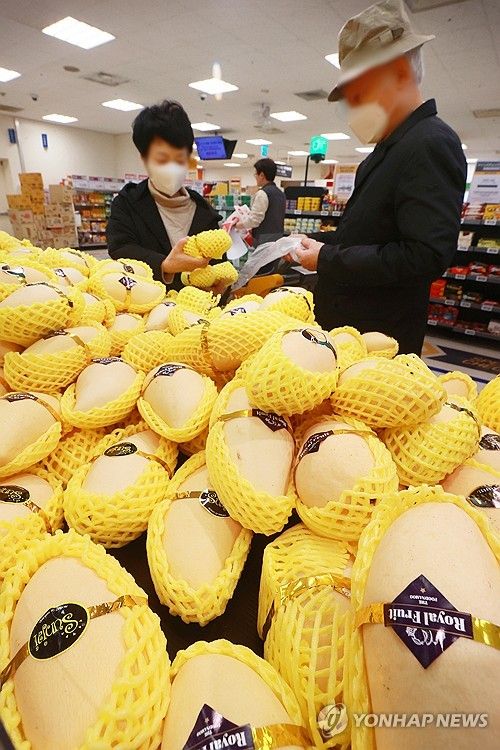 '망고 골라 담아 볼까'