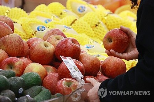 사과 고르는 시민