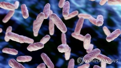 日서 환자 느는 독성쇼크증후군…질병청 "국내유행 가능성 낮아" - 1