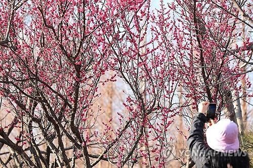 포근한 봄 날씨