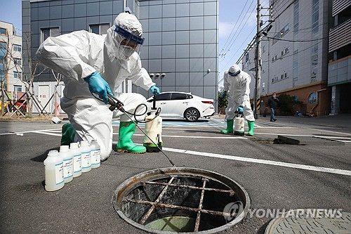 '전염병 예방' 모기 유충 방역