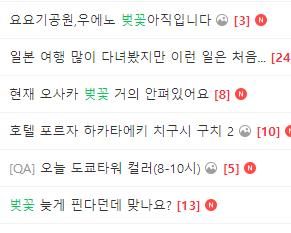 일본 여행 동호회 벚꽃 관련 글들[네일동 캡쳐] 