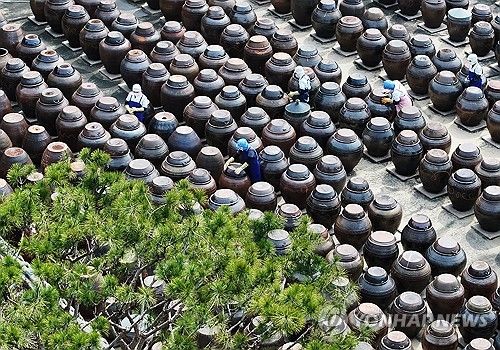 봄 햇살 머금은 장독대