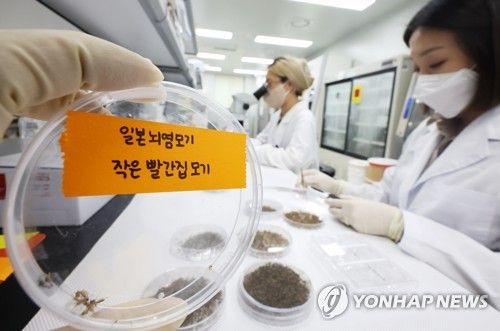 일본뇌염 모기 조심