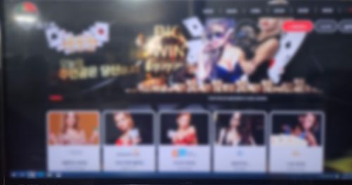 적발된 인터넷 도박사이트