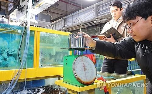 소래포구 종합어시장 바가지요금 합동점검