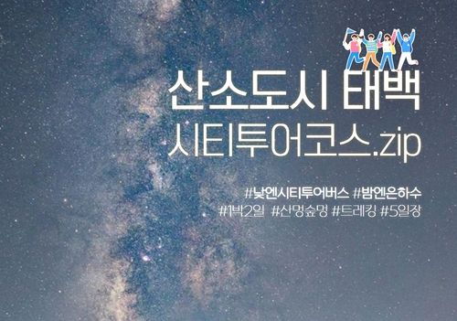 2024년 태백 관광 시티투어버스