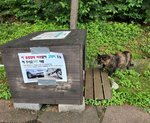 길고양이 급식소