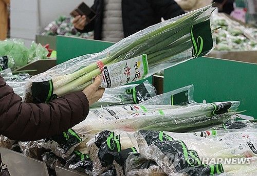 과일뿐 아니라 채소 가격도 기승