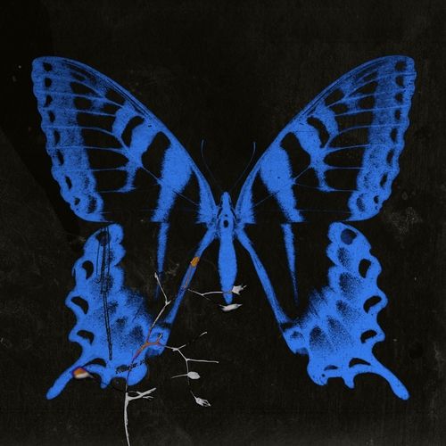 '공중무용' 커버 이미지