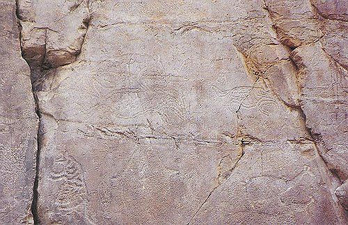 국보 '울주 대곡리 반구대 암각화' 세부 모습. [문화재청 국가문화유산포털 제공. 재판매 및 DB 금지]