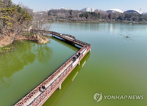 봄 날씨에 녹조 발생