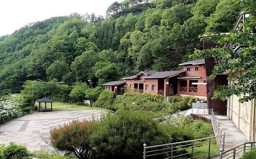 민주지산 자연휴양림