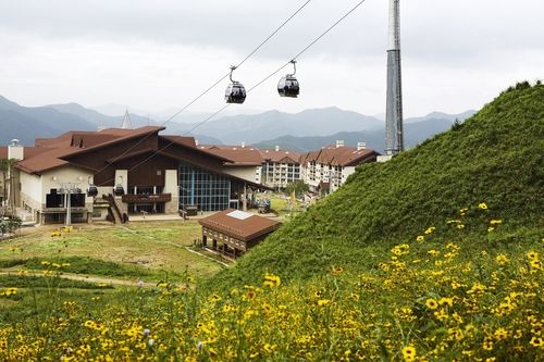 하이원 운탄고도 케이블카