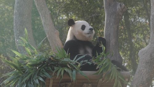 영화 '안녕, 할부지'