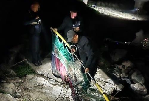 불법 다슬기 채취 단속 현장