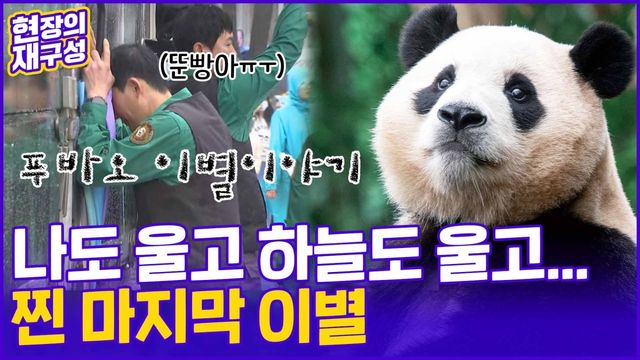 [현장의재구성] "넌 우리의 영원한 아기판다야"…눈물의 마지막 인사