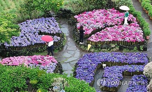 비 내리는 제주의 정원