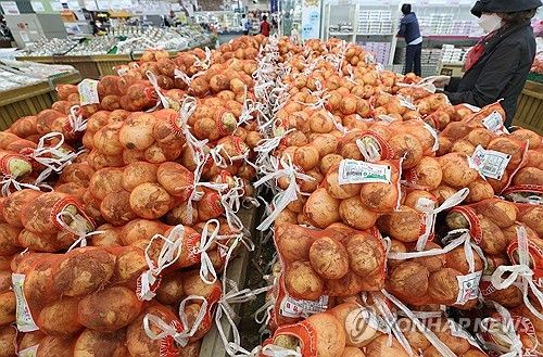 약 20% 오른 양파