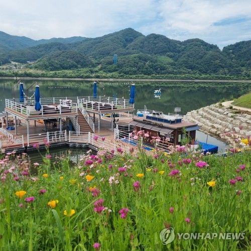 한반도섬에 조성한 야생화꽃밭