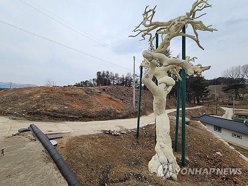 나목이 된 낙락장송