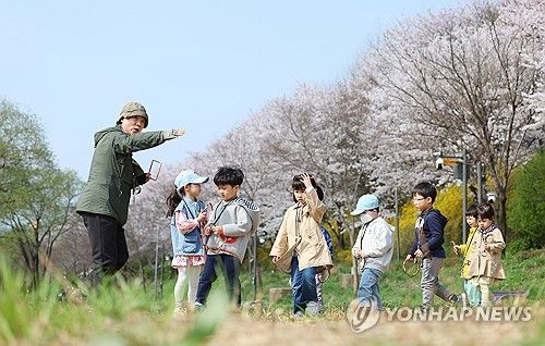 벚꽃 만개한 양재천에서 생태학습 즐기는 어린이들