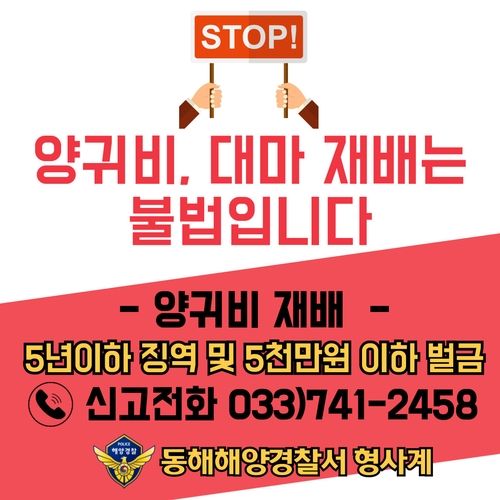 동해해경, 마약류 집중 단속