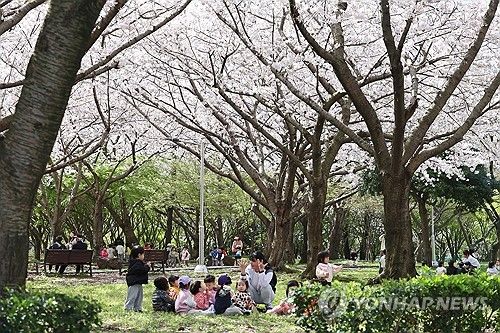 어느 봄날의 소풍