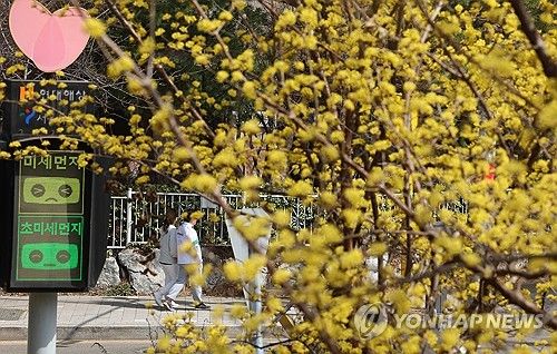 미세먼지 '나쁨'