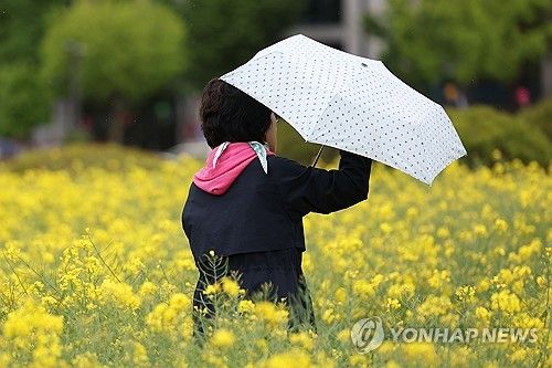 우산 쓰고 꽃밭으로