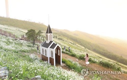 반려견 여행지로 주목받는 육백마지기