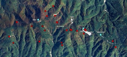 토함산 산사태 발생 지점. [녹색연합 제공. 재판매 및 DB 금지]