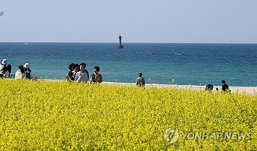 꽃 핀 강릉 바닷가