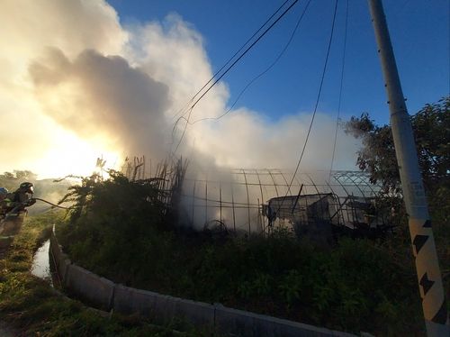 불에 탄 비닐하우스