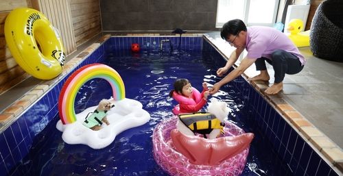 "반려동물 동반여행은 태안으로"