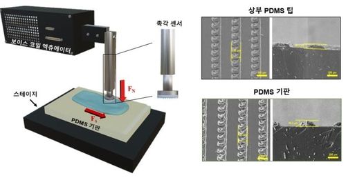 AI 기반 피부 발림성 분석 시스템