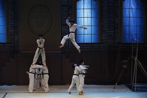 대한태권도협회 태권도 시범단