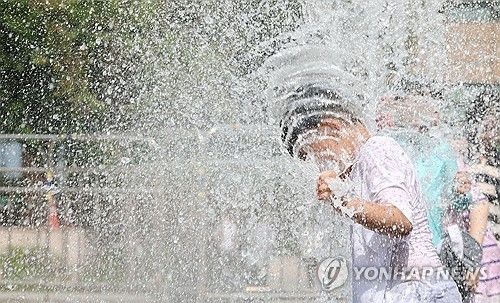 더위 피해 시원하게