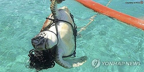 필리핀 "중국, 남중국해 해양생태계 파괴"