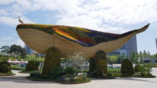 고양꽃박람회장 전경 