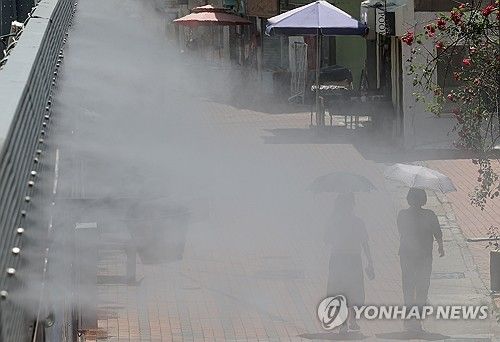 5월의 더위 식혀주는 쿨링포그