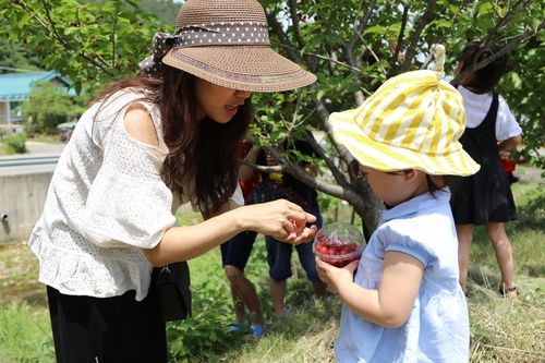 지난 앵두축제 모습