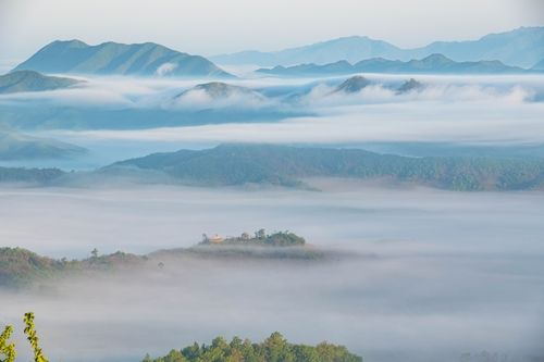 5사단 GOP에서 바라본 비무장지대(DMZ) 전경