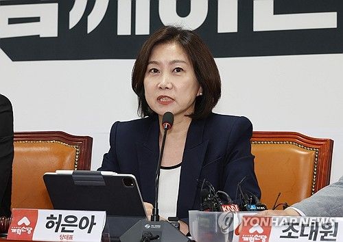 발언하는 허은아 대표