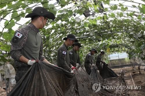 대민 지원 나선 장병들