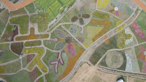 고창 꽃정원단지