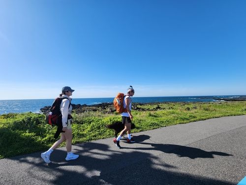 올레길 4코스를 걷는 사람들 [사진/성연재 기자]