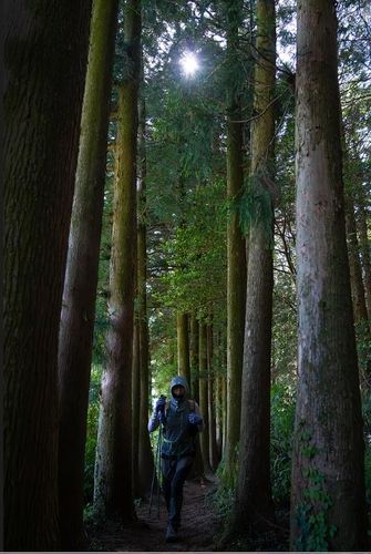 물영아리 트레킹 [사진/성연재 기자] 