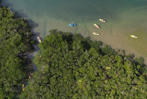 맹그로브 카야킹 [사진/성연재 기자] 